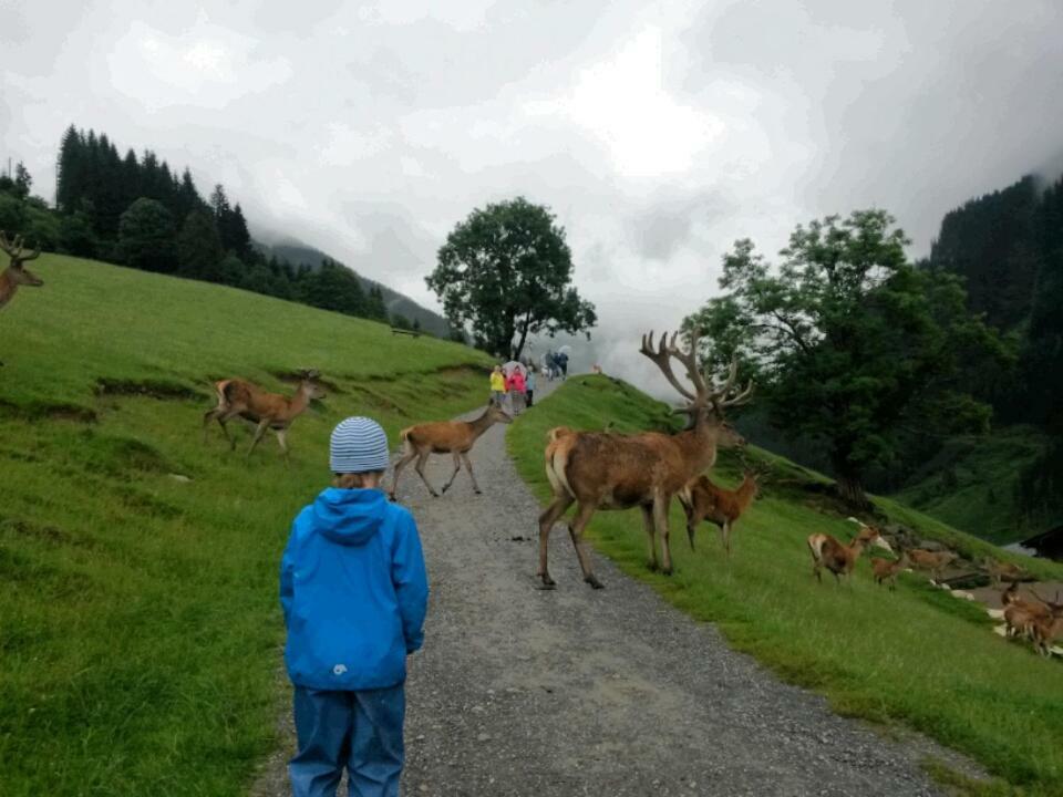 Appartementhaus Bad Salve Hopfgarten im Brixental Exterior foto